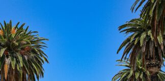 Alineaciones De PSG Contra Aston Villa: ¿Quién Se Llevará La Victoria?