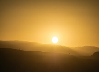Alineaciones De Betis Contra U. D. Las Palmas: ¿Quién Ganará?