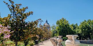 Alineaciones De Alavés Contra Real Madrid: ¿Quién Ganará Esta Batalla?