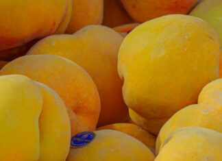 Alineaciones De Cd Eldense Contra Valencia C. F.: ¿Quién Ganará?