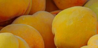 Alineaciones De Sevilla FC Contra Valencia C. F.: ¿Quién Ganará?