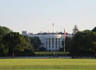 Alineaciones De Deportivo Alavés Contra U. D. Las Palmas: ¡Descúbrelas!