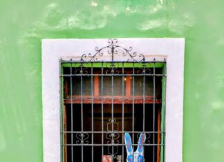 Alineaciones De Real Valladolid Contra Betis: Claves Para Ganar