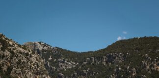 Alineaciones De Osasuna Contra R.C.D. Mallorca: ¿Quién Ganará?