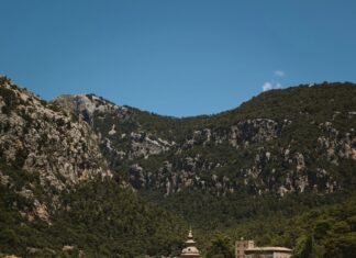 Alineaciones De Osasuna Contra R.C.D. Mallorca: ¿Quién Ganará?