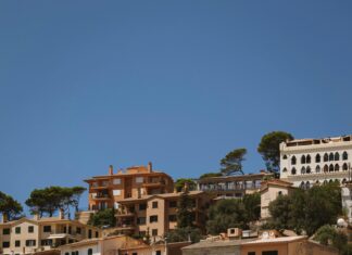 Alineaciones De R.C.D. Mallorca Contra Sevilla FC: ¿Quién Ganará?