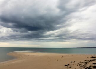 Alineaciones De Real Sociedad Contra Betis: ¿Quién Ganará El Duelo?