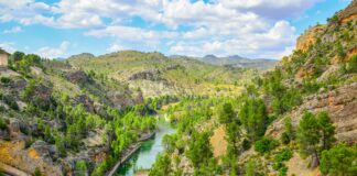 Alineaciones De Albacete Balompié Contra Deportivo La Coruña: ¿Quién Ganará?