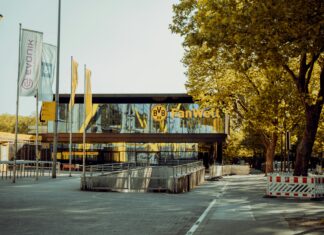 Alineaciones De Lille OSC Contra Borussia Dortmund: ¿Quién Ganará?