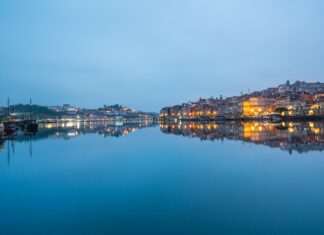 Alineaciones De FC Porto Contra A.S. Roma: ¿Quién Ganará El Duelo?