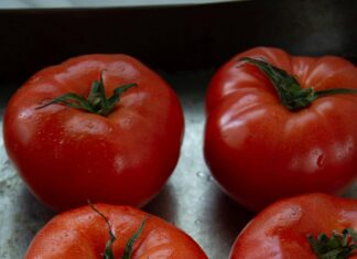 Alineaciones De Roma F. C. Contra Hellas Verona: ¿Quién Ganará?