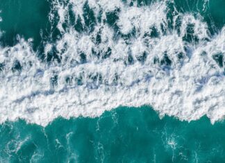 Alineaciones De Al Hilal Contra Al-Orobah: ¿Qué Sorpresas Traerán?