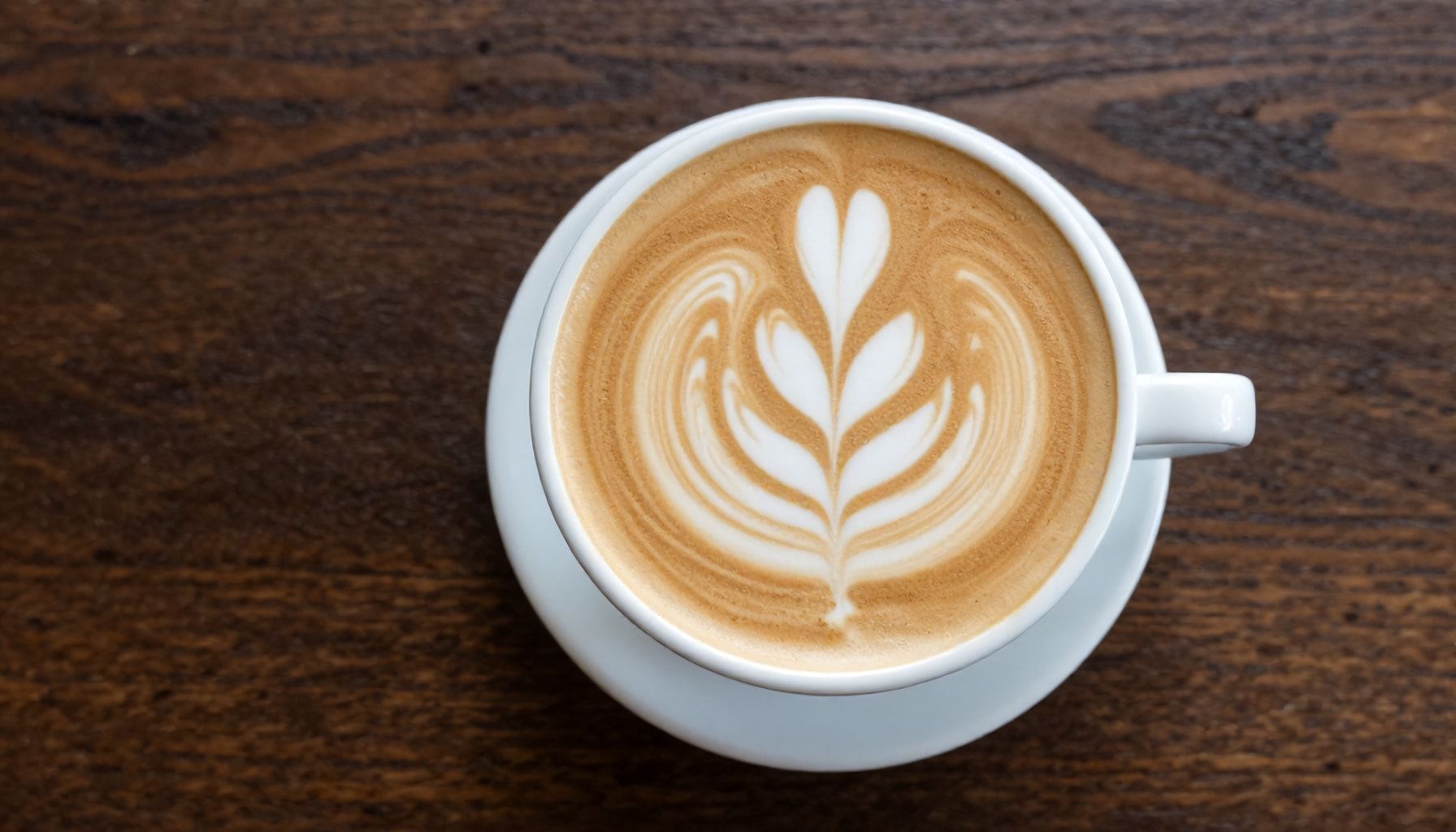 Características que lo definen