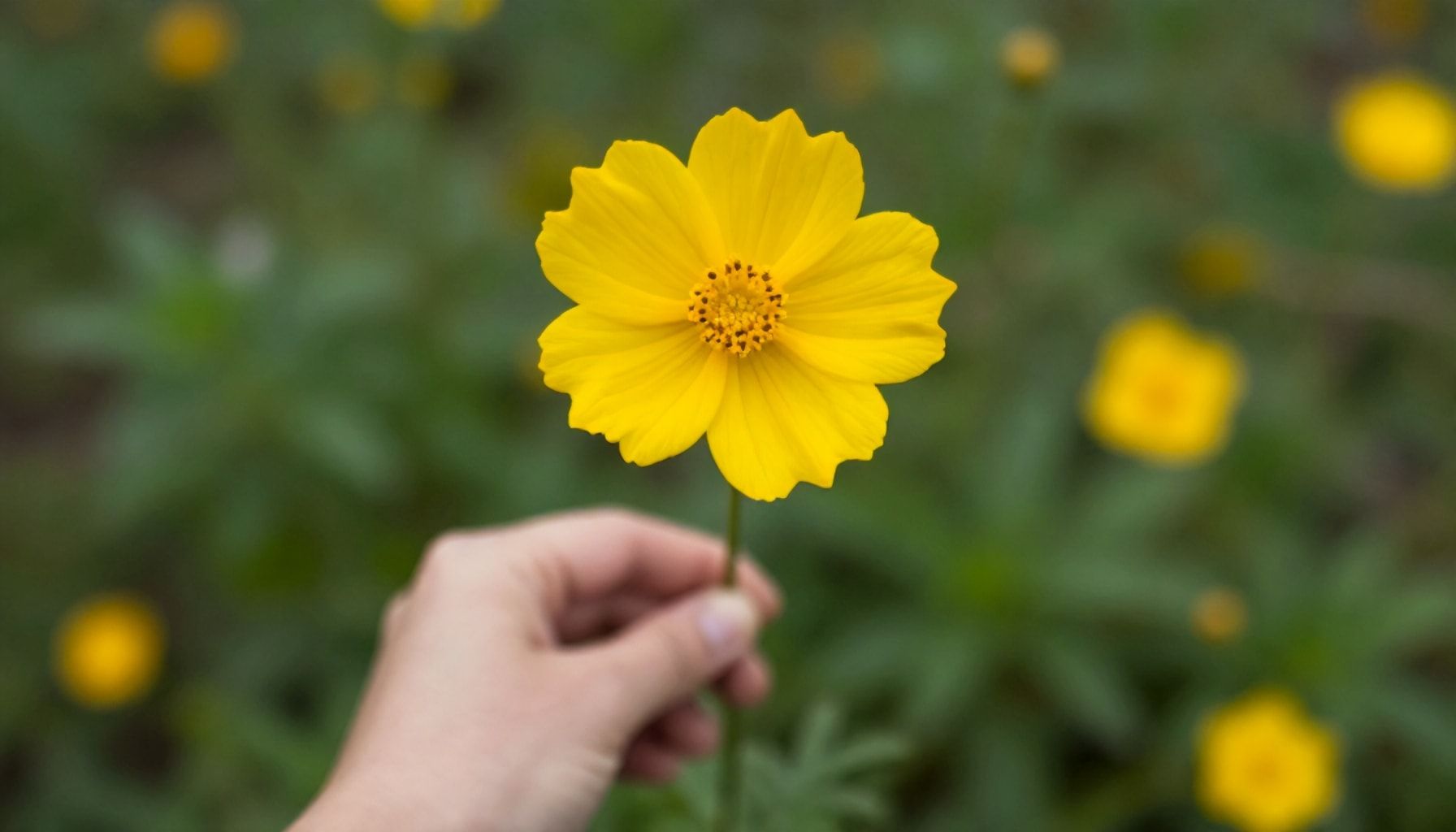 Cómo elegir el momento adecuado