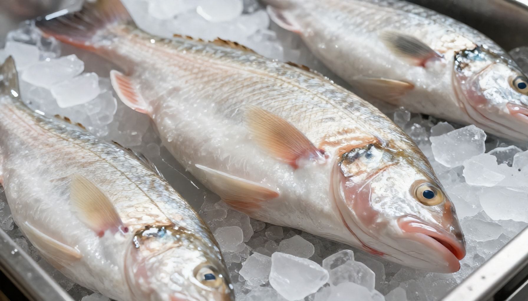 Consejos para comprar bacalao de calidad