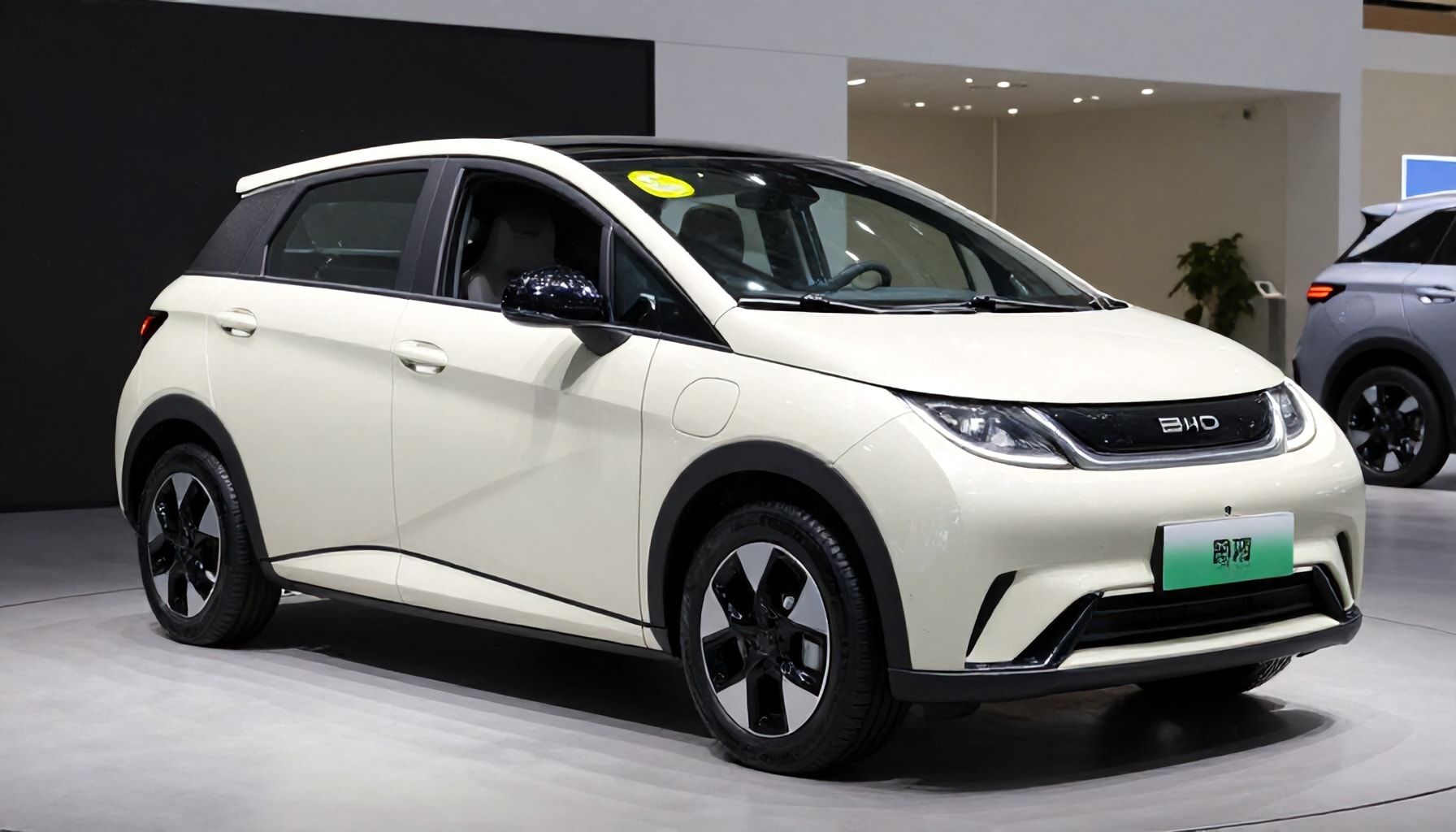 El nuevo integrante de la familia Dolphin