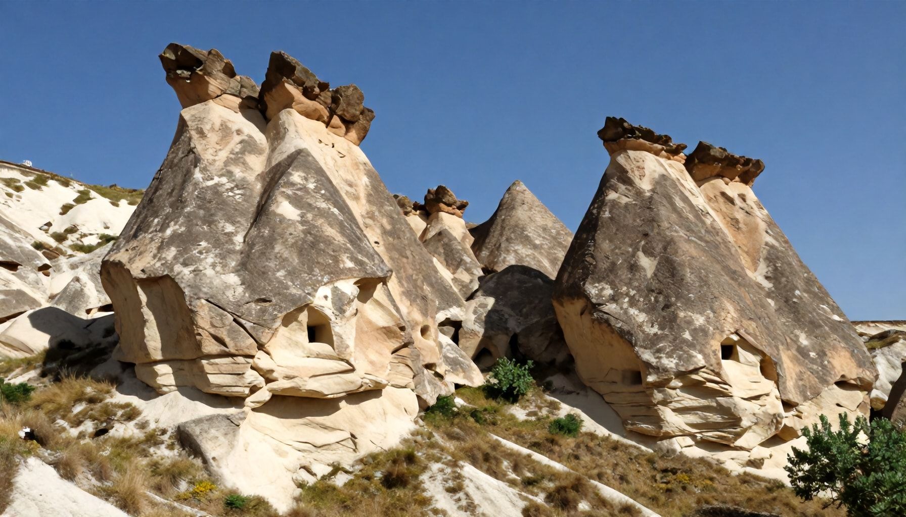 Importancia ecológica y cultural