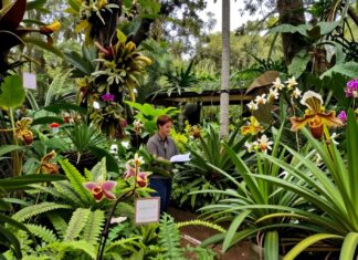 Descubren 15 especies nuevas en Jardines de Morelos tras expansión reciente