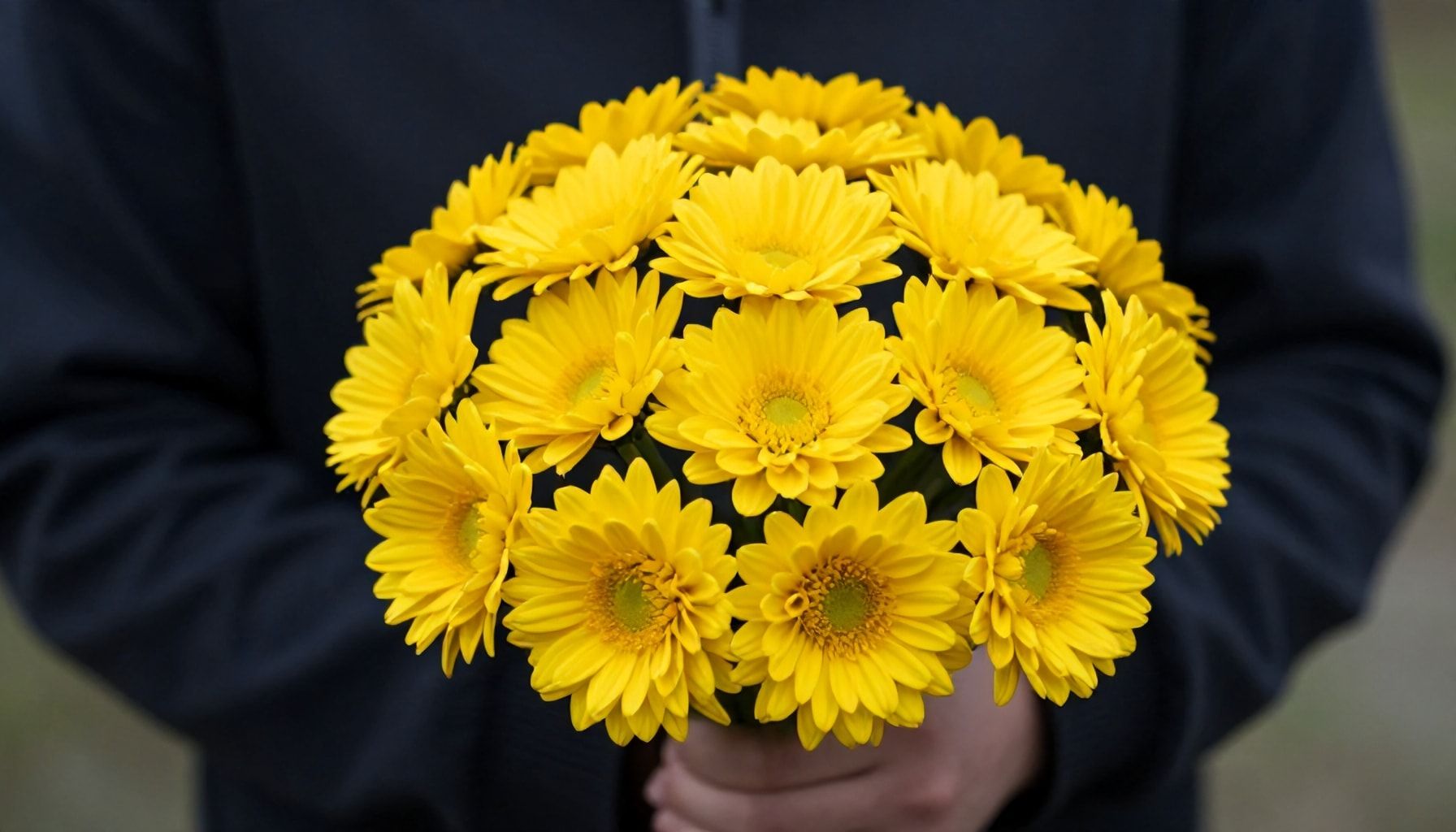 La tradición de regalar trece flores