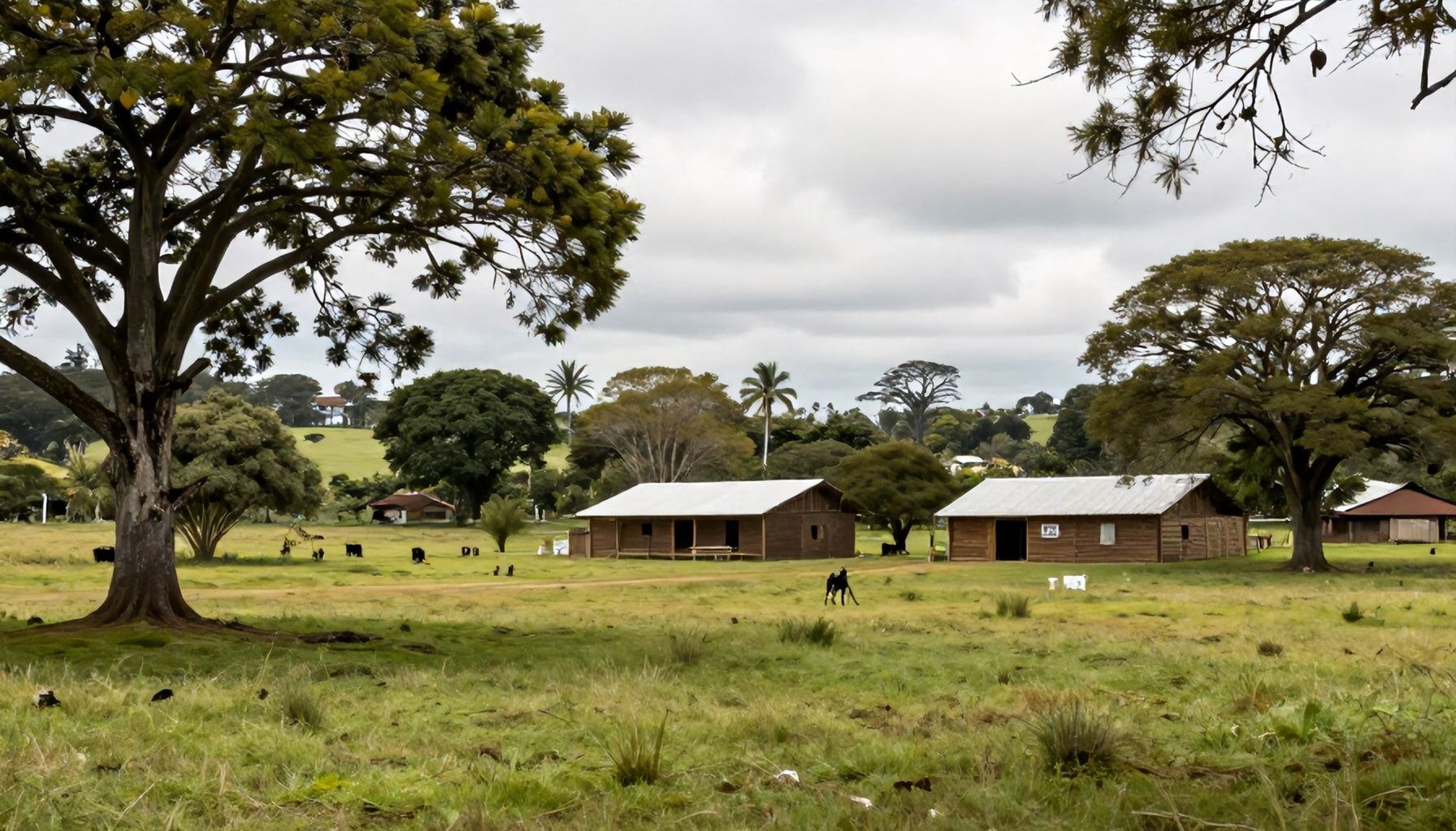 La vida cotidiana en el campo