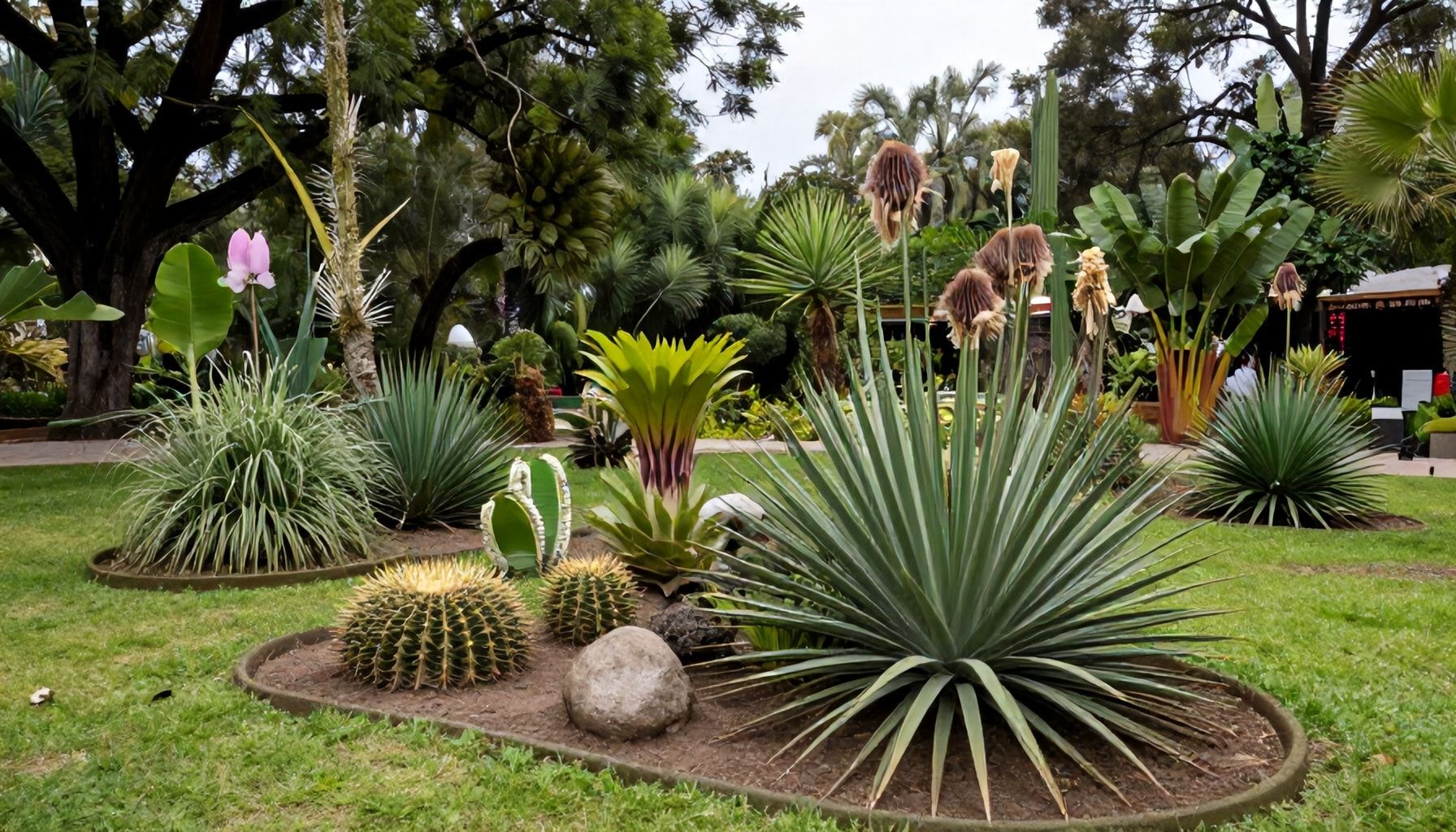 Nuevas especies descubiertas tras reciente ampliación