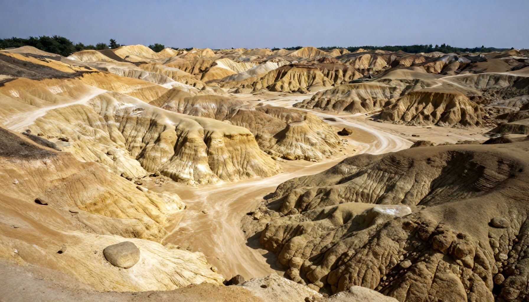 Un tesoro paleontológico