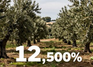 La industria de las aceitunas españolas resiste la crisis con 12.000 millones de euros en ventas anuales.