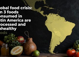 La crisis alimentaria global: 1 de cada 3 alimentos consumidos en América Latina son procesados