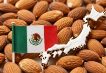 El 30% de los cacahuates japoneses importados a México proviene de Japón.