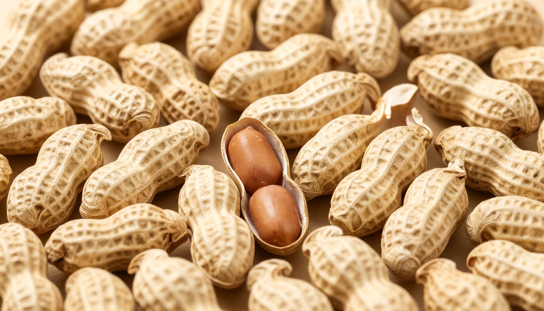 El 30% de los cacahuates japoneses importados a México proviene de Japón. 2 Cacahuates japoneses: una historia de cultivo y comercio