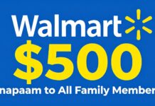 Walmart Aplica Descuento Inapam de $500 a Todos los Miembros de la Familia.