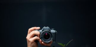 El Arte de la Fotografía: Un Viaje a Través de la Captura de Momentos The Art of Photography: A Journey Through Capturing Moments