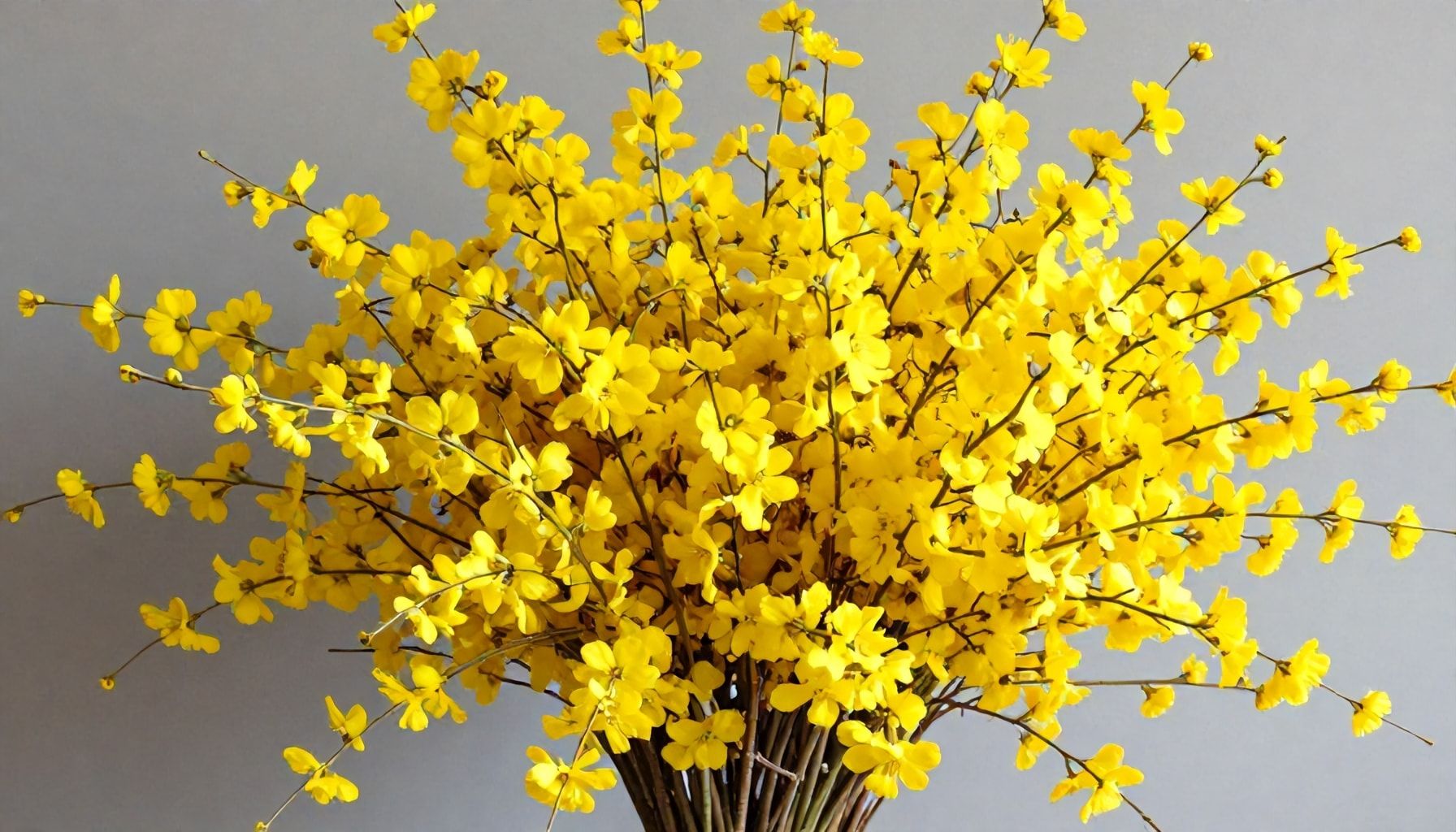 La creación de miles de ramas de flores amarillas