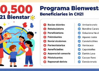 Se Desvelan 20,500 Beneficiarios del Programa Bienestar en el 2021 en Chile