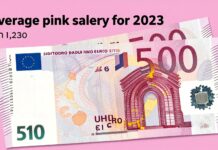 El salario rosa promedio para 2023 se fijó en 1.230 euros mensuales