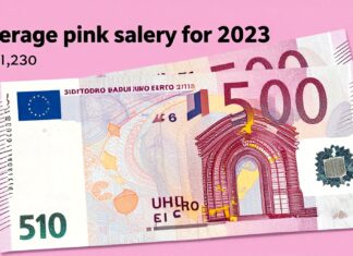 El salario rosa promedio para 2023 se fijó en 1.230 euros mensuales
