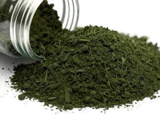 Descubren beneficios adicionales del consumo de 10 gramos de alga espirulina diariamente.