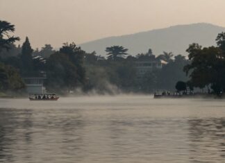 La contaminación del lago de Chapultepec supera los niveles permitidos por 40 años seguidos.