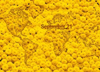 Se regalan flores amarillas millones de veces el 21 de septiembre en todo el mundo