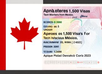 Canadá aprueba 1.500 visas para trabajadores del sector tecnológico de México