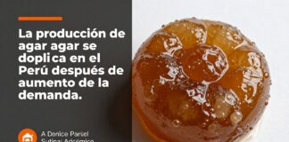 La producción de agar agar se duplica en el Perú después de un aumento de la demanda.