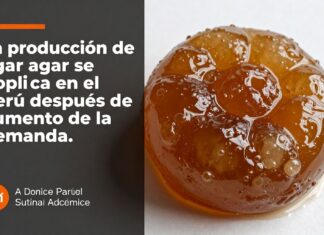 La producción de agar agar se duplica en el Perú después de un aumento de la demanda.