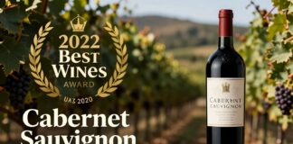 El Cabernet Sauvignon de Napa Valley gana el premio de mejores vinos de 2022.