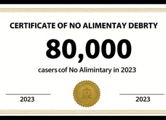 Certificado de no deudor alimentario: 80.000 expedientes resueltos en 2023