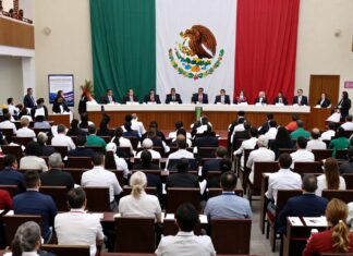 Mexico celebra el Día del Psicólogo con más de 30 mil profesionales en la profesión».