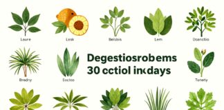 Descubren 12 plantas naturales para aliviar problemas de la digestión en 30 días.