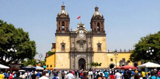 La ciudad de México atrae a 5 mil visitantes a Nuevo Nativitas Xochimilco cada mes