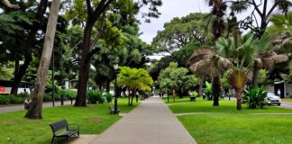 El Parque Lineal de Bogotá llena de vida a 35 kilómetros de senderos verdes
