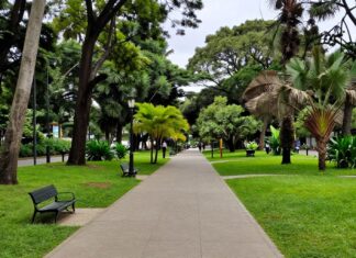 El Parque Lineal de Bogotá llena de vida a 35 kilómetros de senderos verdes