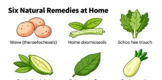 Seis Remedios Caseros Naturales para Eliminar el Acne en 30 Días